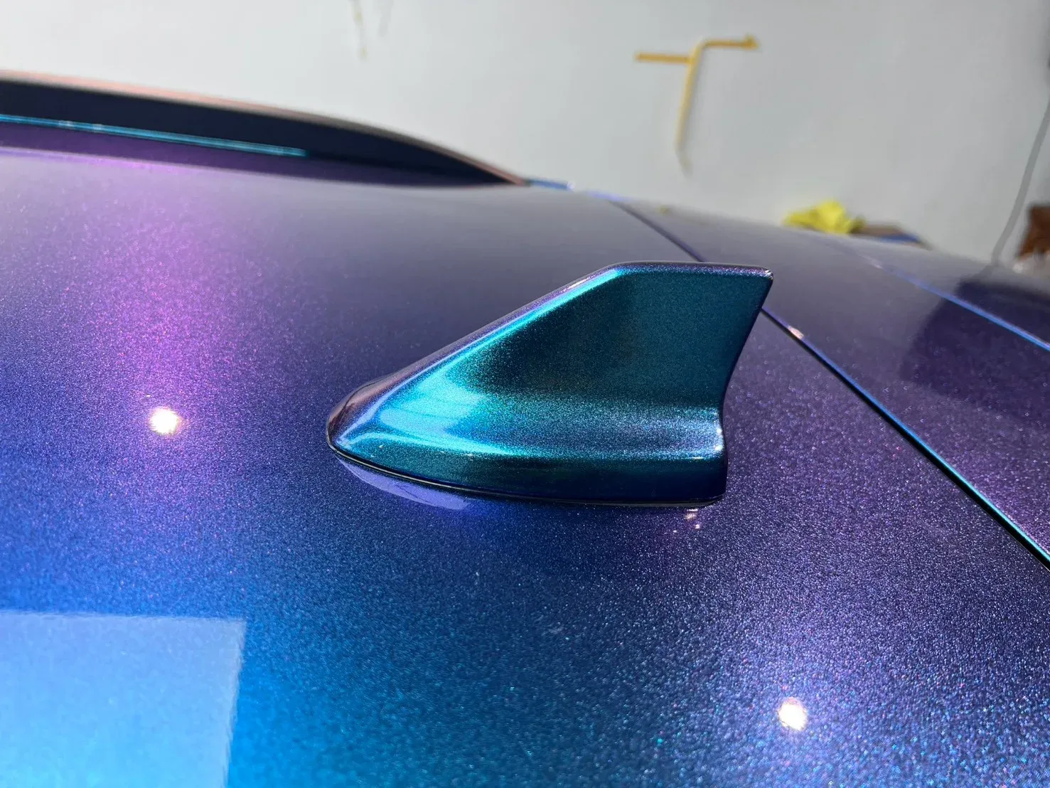 Ford Focus 車頂鯊魚鰭天線包膜細節